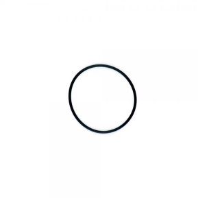 Beta O-ring Svanehals / Potte Evo 09->