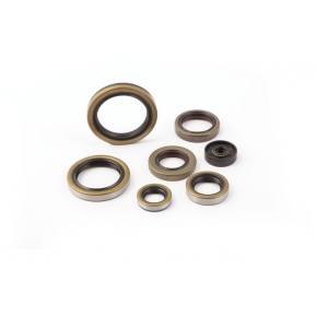 S3 Simmering Kit Motor  Ktm / Hq / Gg TPI