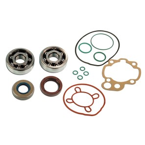 AM6 SKF Motoroverhalings Kit (Sylinder Pakninger og lager)