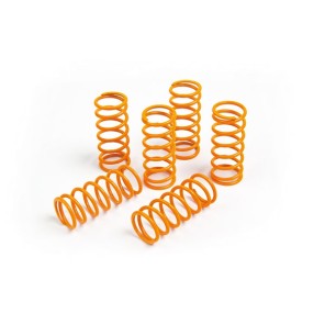 S3 RACING CLUTCH FJÆRER KIT BETA/SHERCO/SCORPA/MONTESA